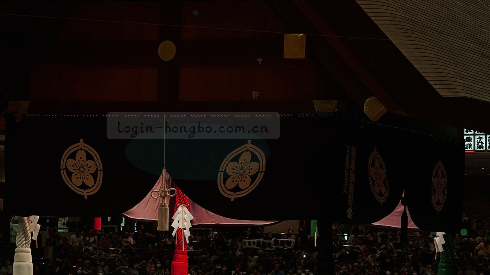 深墨绿背景上的细密刻度线与网格纹理，局部点缀暖金节点，用于使用条款页面顶部装饰